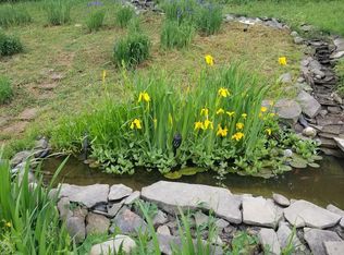 56 Southwick Rd, Candor, NY 13743