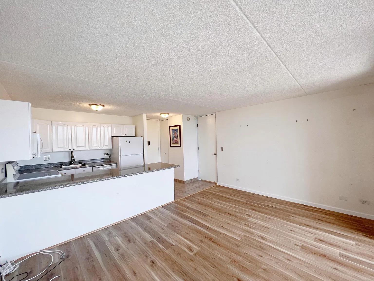 1 bed, 540 sqft, $2,900 — Photo 4
