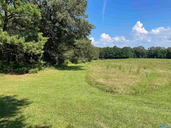 41 Acres 298 Spinks Dr, Gadsden, AL 35903