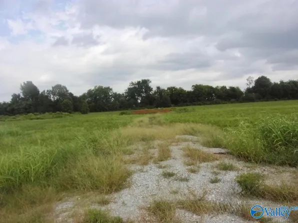 23678 Old Homeplace Way, Athens, AL 35613