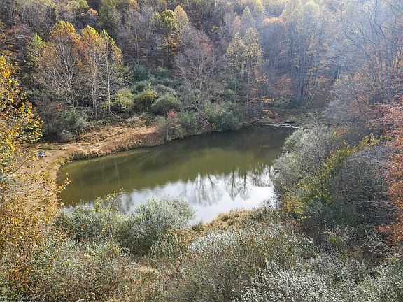 39th image of this home