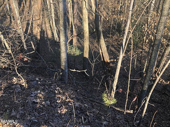 3rd image of 68 Yellowwood Dr Lot 68