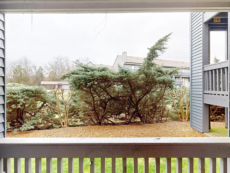 Hickory Run — Photo 104