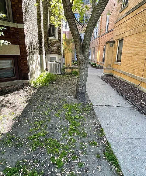 3917 N Southport Ave #1E — Photo 1