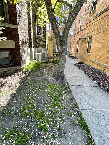 3917 N Southport Ave #1E Photo 1
