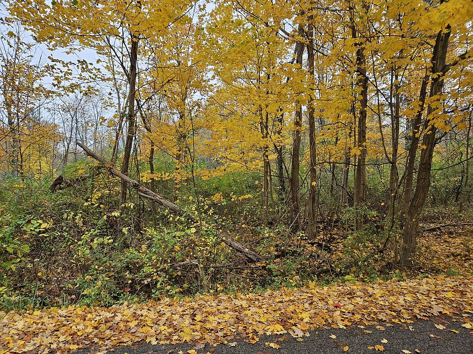2nd image of Macbeth Ave