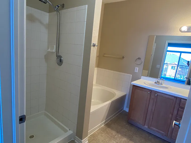Master Bathroom_01072021