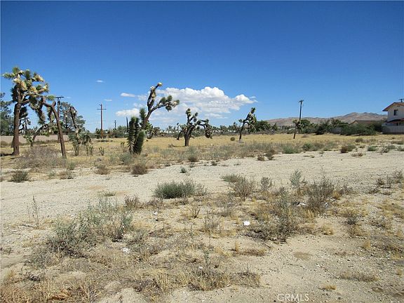 3rd image of 7331 Joshua Ln