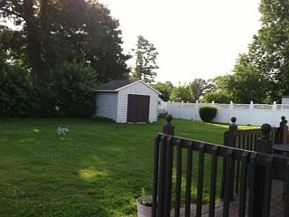 Large shed