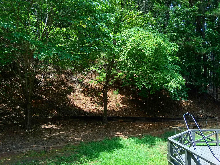 2015 Aldbury Ln — Photo 11