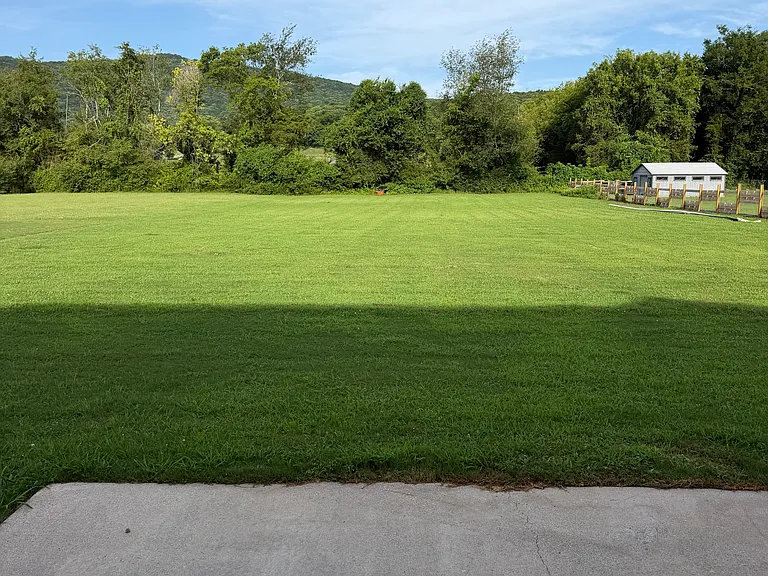 126 Cedar Run Ln — Photo 17