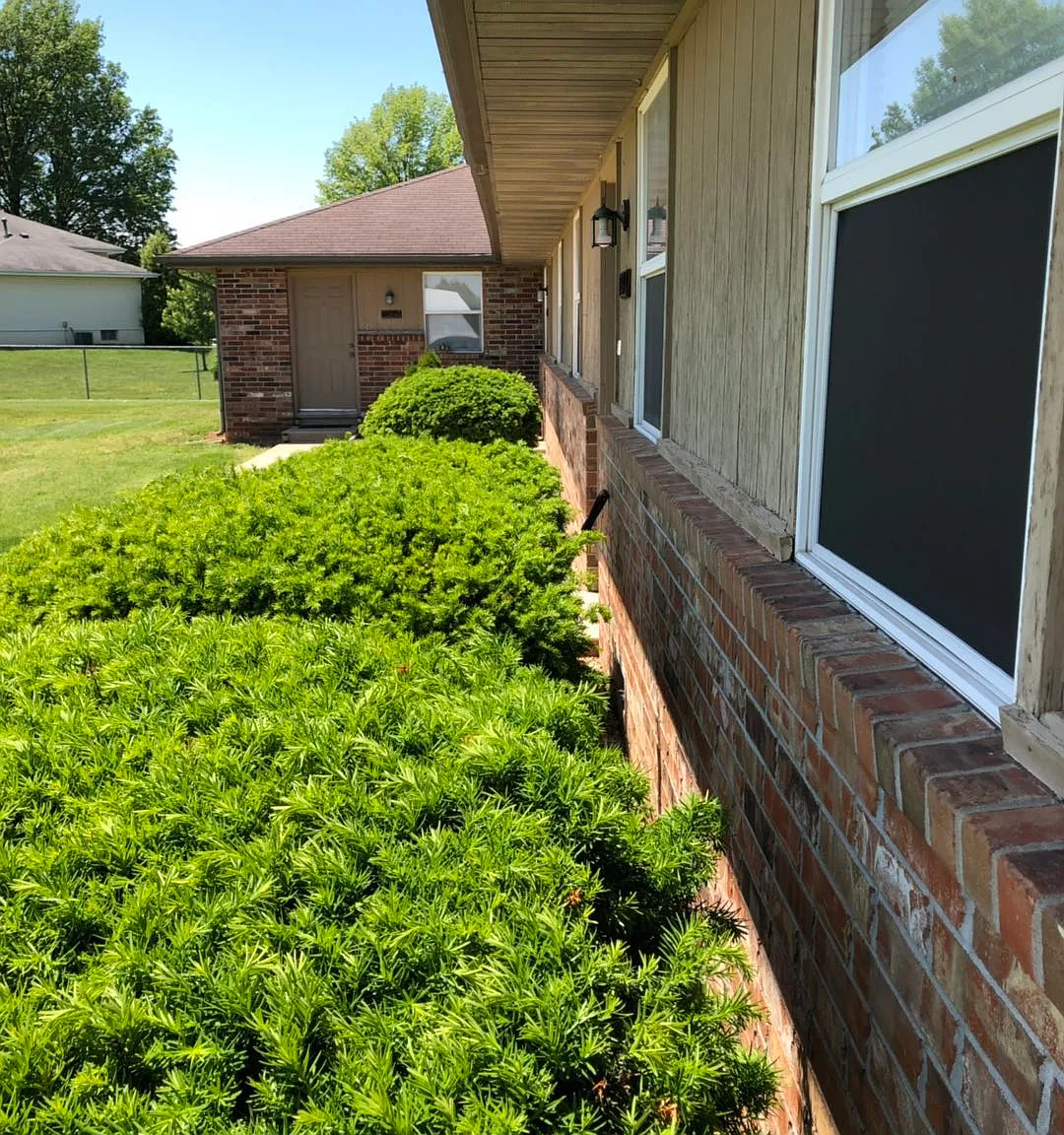 2 bed, 800 sqft, $850 — Photo 2
