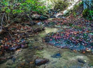 1AC Bogard Creek Way, Cosby, TN 37722