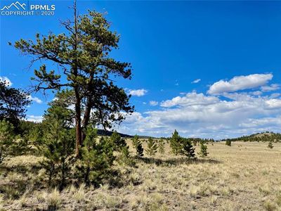 160 Huerfano Dr, Hartsel, CO, 80449