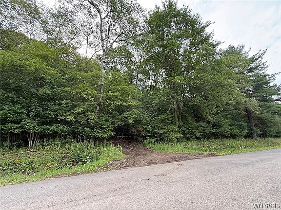 2nd image of 3992 Bear Hollow Rd Lot 3