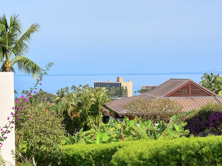 3150 Wailea Alanui Dr #3807 — Photo 16