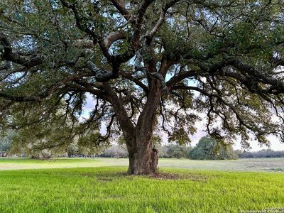 TBD Wiseman LOT 302A, La Vernia, TX, 78121