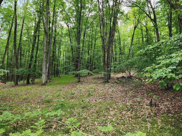 2145 Elkhorn Way, Farwell, MI 48622
