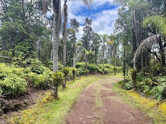 3rd image of 11-2932 Lehua St Lot 6911