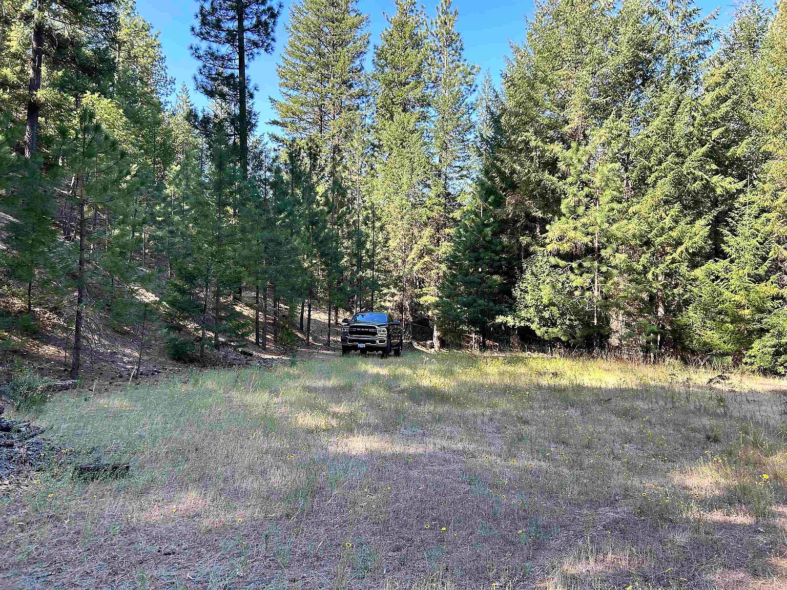 Joyland Gulch, Fort Jones, CA 96032 Zillow