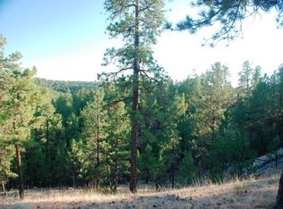 356 Remington Rd, Sundance, WY 82729