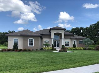 10920 Brice Tree Ct, Lithia, FL 33547