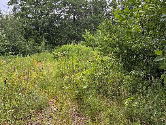 5th image of Lot 10 White Deer Circle