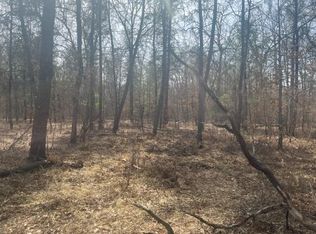 2284 E 40th St, Idlewild, MI 49642