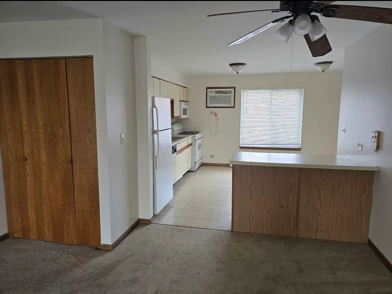 Century Point Ln, Glendale Heights — Photo 3