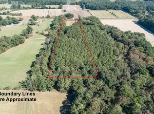 0 Clement Rd, Leighton, AL 35646