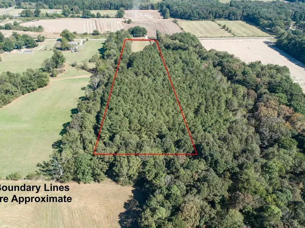 0 Clement Rd, Leighton, AL 35646