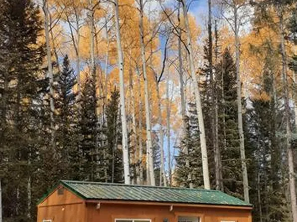 50 Spruce Road, Cimarron, CO 81220
