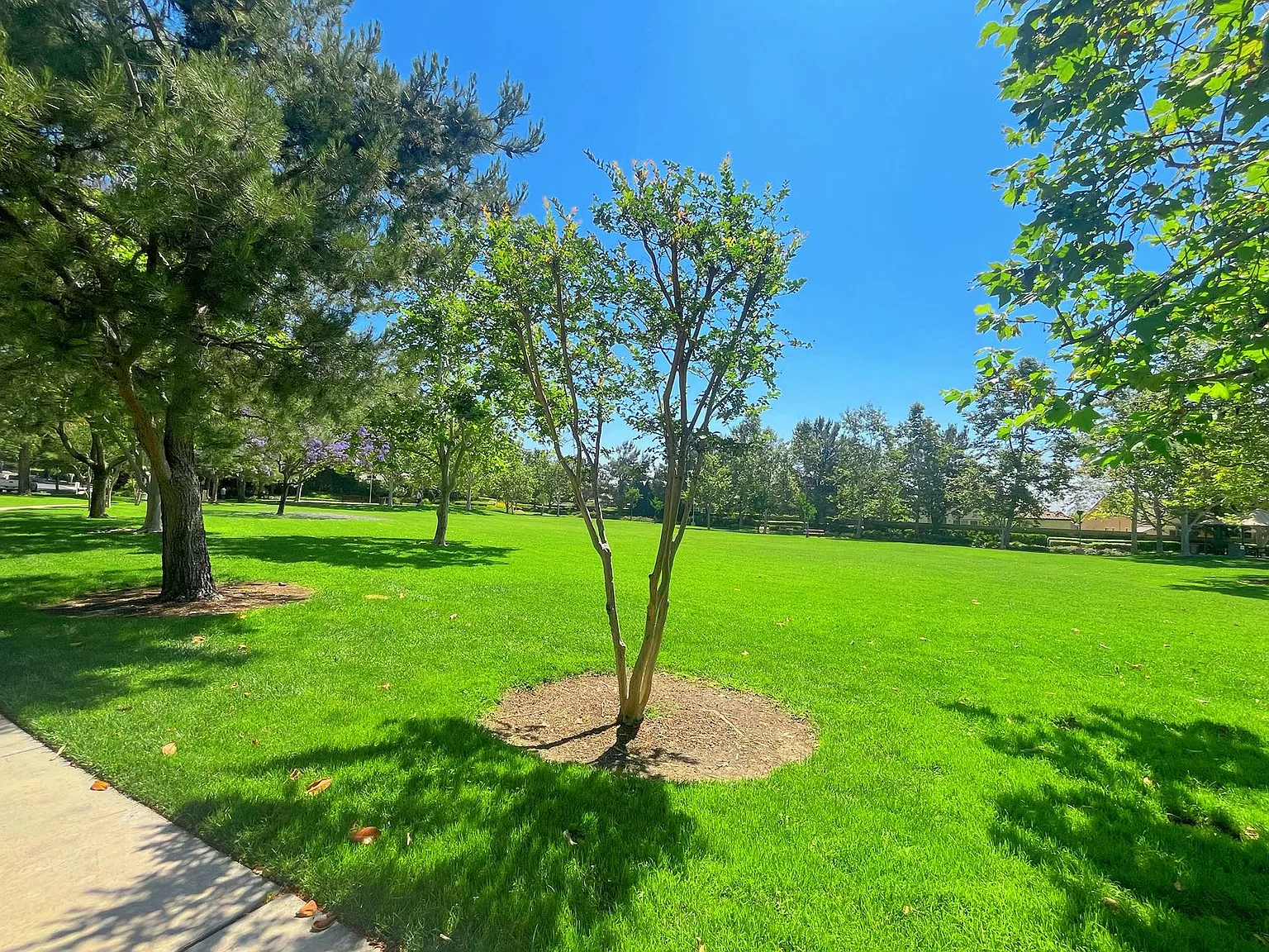 4 bed, 2100 sqft, $3,900 — Photo 3