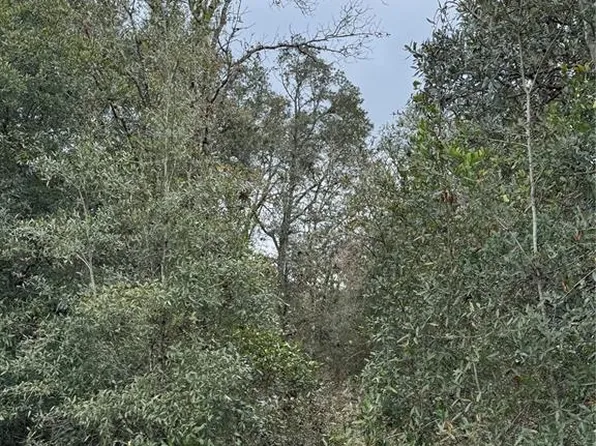 71 Street, Williston, FL 32696