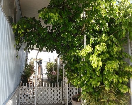 2nd image of 2750 Wheatstone St Space 107