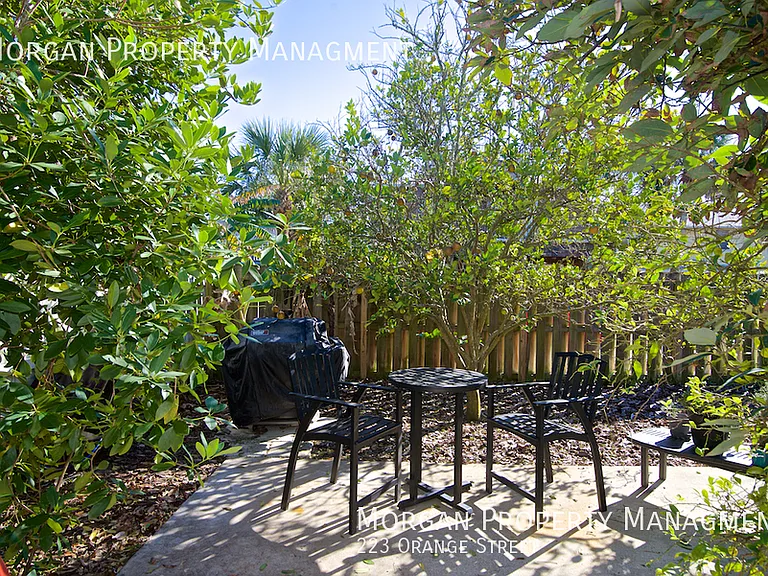 223 Orange St — Photo 9