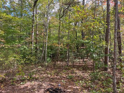 1111 Bee Creek Rd, Corbin, KY, 40701