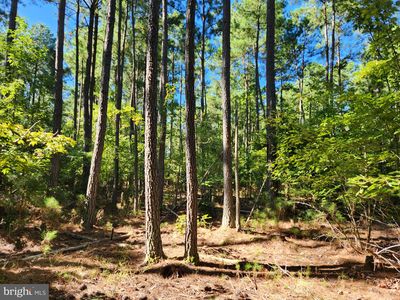 Fresh Pond Neck Rd, Ridge, MD, 20680