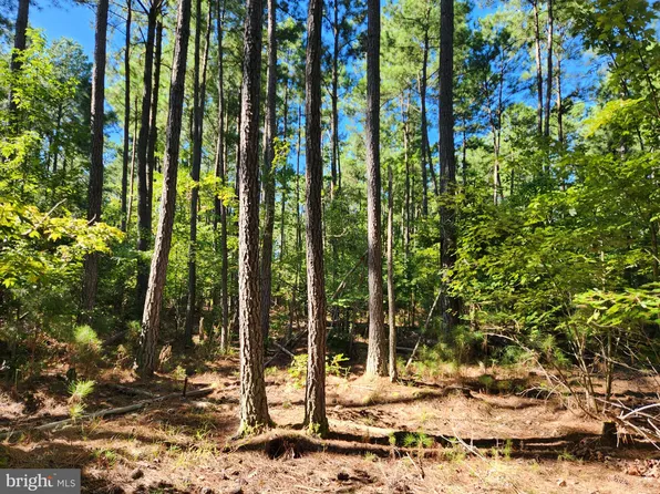 Fresh Pond Neck Rd, Ridge, MD 20680