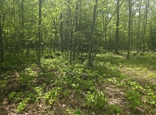 Kyler Rd, Craigsville, WV 26205