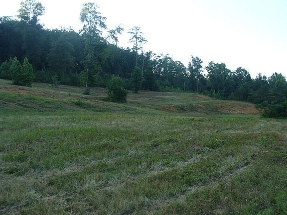 View from behind pond
						:
						This is from behind the pond and shows how the land runs up the hill.