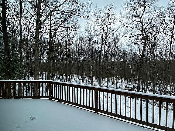 Large Deck overlooking woods