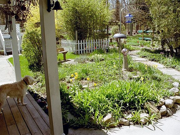 Front yard
