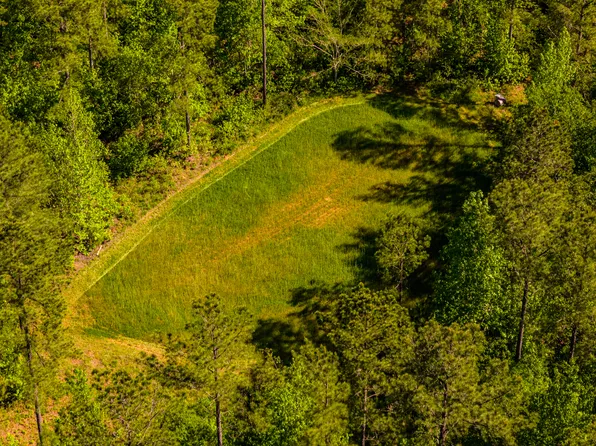 140 George Jordan Way #207 ACRES, Talbotton, GA 31827