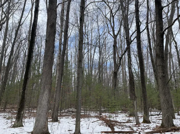 LOT 4 E Hillsdale Dr, Roscommon, MI 48653