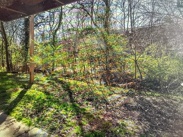 Rear side views of Brook with a gorgeous sunny side and nature