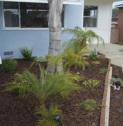 Flower Bed in front of the house.