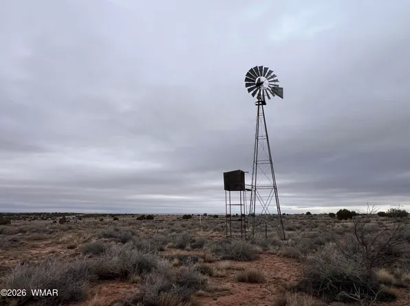 9594 Buckskin Trl, Snowflake, AZ 85937