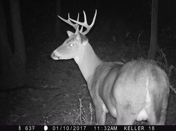 Pleasant Ridge Rd, Rockwood, IL 62280