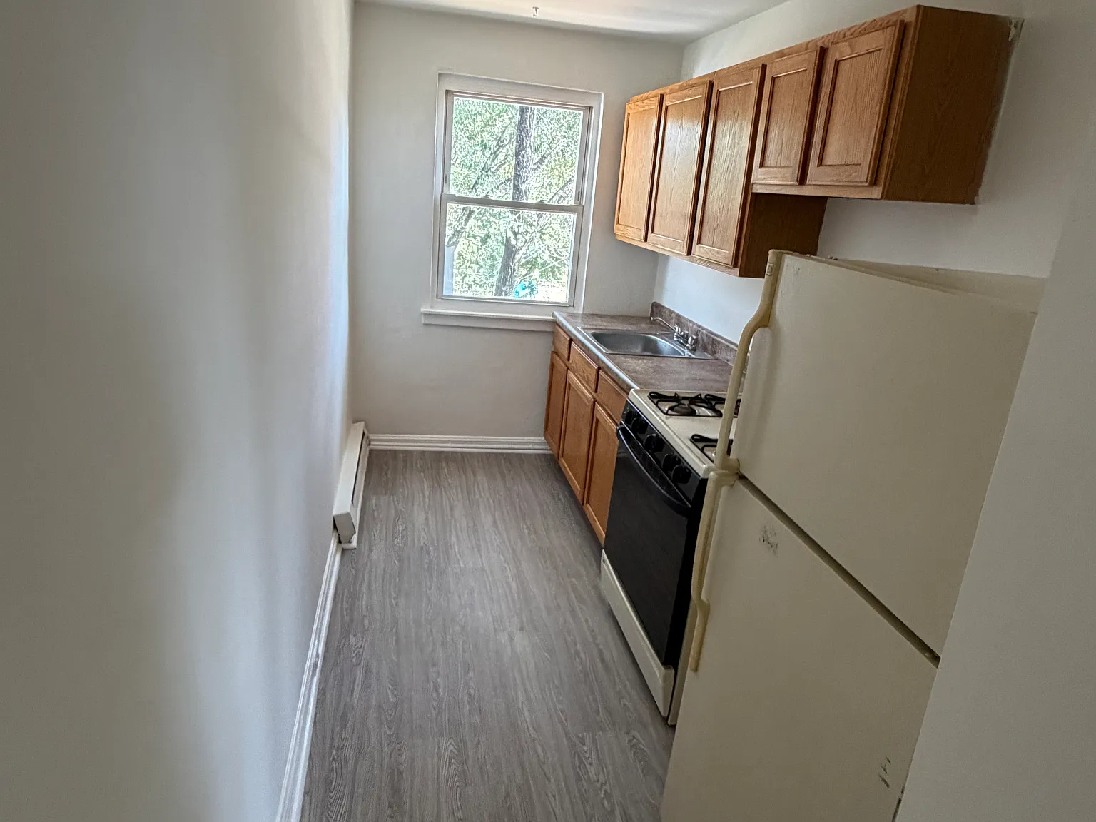 1 bed, $875 — Photo 2